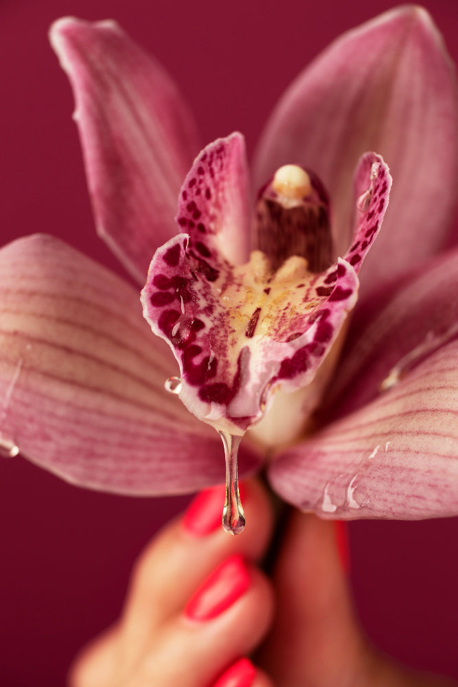 The Science of Orchid Oil